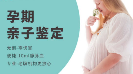 宁德怀孕6个月如何办理亲子鉴定,宁德孕期亲子鉴定价格收费